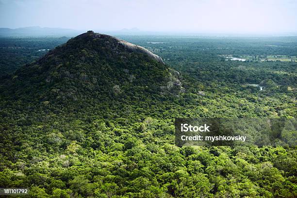 Vista Dalla Sigiriya - Fotografie stock e altre immagini di Albero - Albero, Ambientazione esterna, Antica civiltà