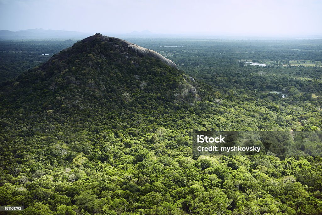 Vista do Sigiriya - Royalty-free Ajardinado Foto de stock