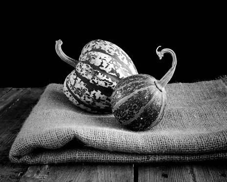 Still life black and white shot of 2 gourds resting on a piece of hesium