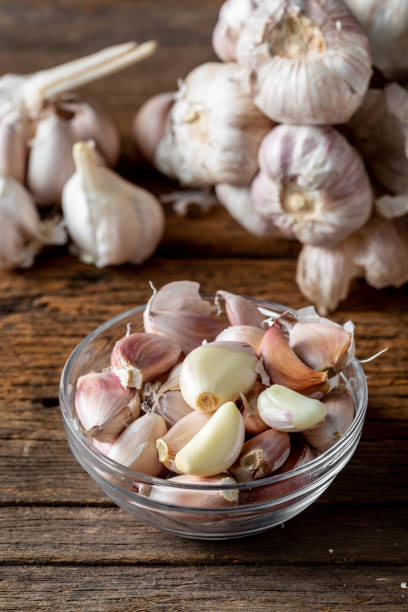 Garlic from a farm in Thailand stock photo
