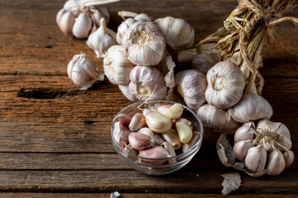 Garlic from a farm in Thailand stock photo