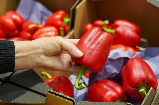 woman holding red pepper while shopping in the supermarket or at the weekly market