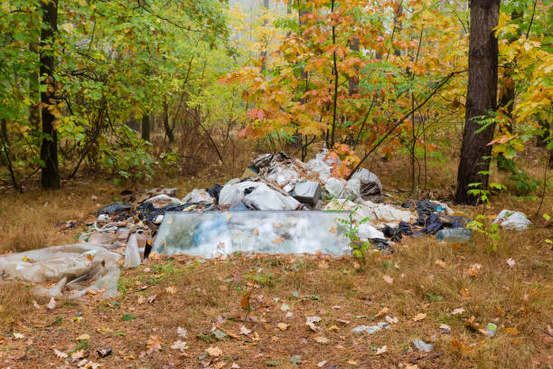 Small illegal spontaneous landfill in form of heap garbage dumped in the forest, view in autumn overcast morning
