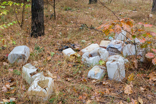 Small illegal spontaneous landfill in form of heap garbage dumped in the forest, view in autumn overcast morning