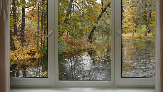Window frame, view from the window, landscape with pond and park trees.