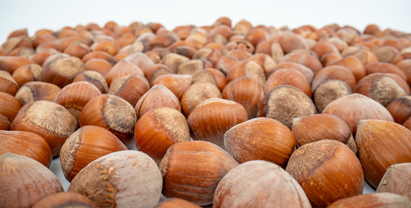 Close up hazelnuts on white background isolated.
