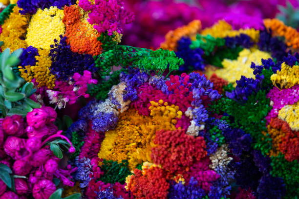 istock bouquet of flowers 1811088535