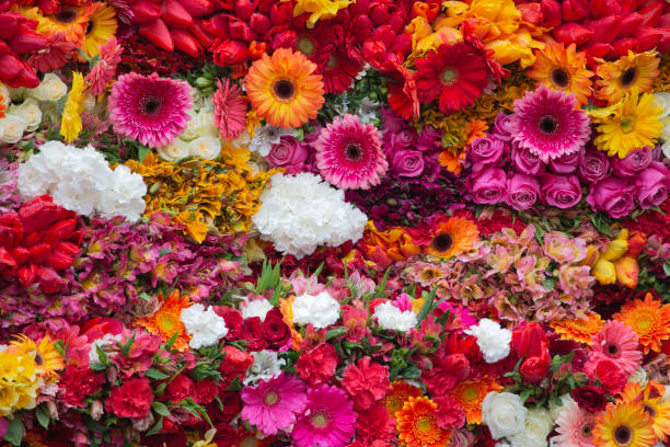 istock bouquet of flowers 1811089110