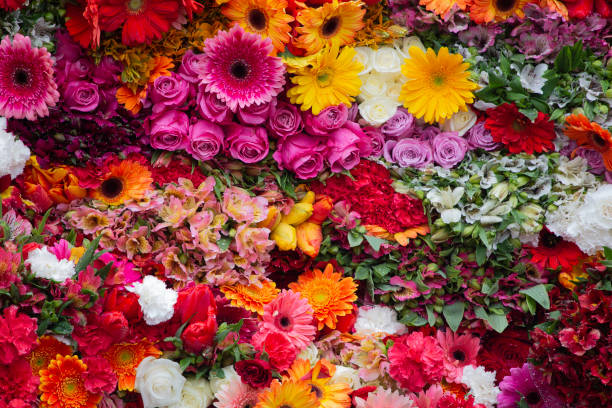 istock bouquet of flowers 1811089589