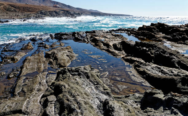 piscina rocciosa a playa del valle - fuerteventura - light sea low tide fuerteventura foto e immagini stock