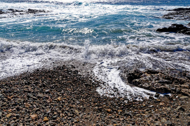 spiaggia rocciosa aguas verdes - fuerteventura, isole canarie, spagna - light sea low tide fuerteventura foto e immagini stock