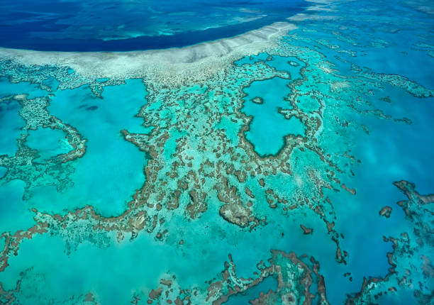istock Whitsunday Islands - Coral Reefs 1811098066