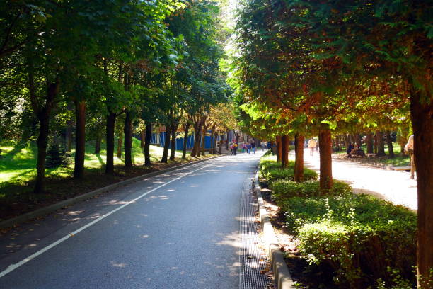 istock Kislovodsk City Park. 1811131807