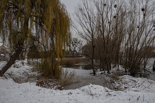 Kyiv, Ukraine. November 23, 2023: A snowy park behind a frozen lake