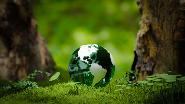 istock Small Earth in Forest with concept of sustainability and zero carbon, 3d rendering 1811153604