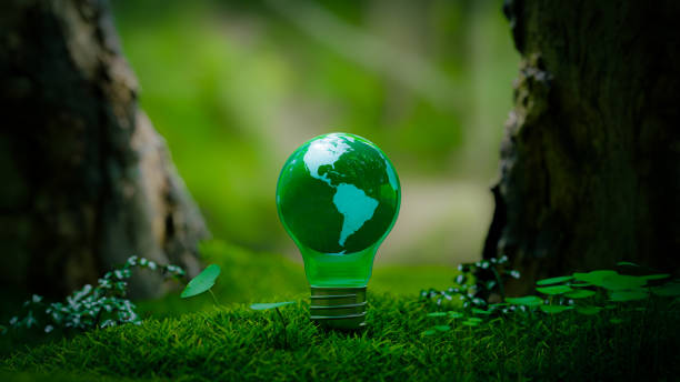 istock Small Earth in Forest with concept of sustainability and zero carbon, 3d rendering 1811153608