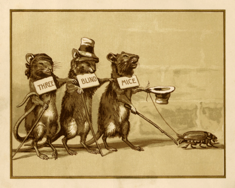Three blind mice helping each other along and using a beetle as a guide, from the nursery rhyme as depicted in “The Diverting History of Three Blind Mice” illustrated by Edmund G Caldwell, published by Marcus Ward & Co of London, Belfast & New York in 1887.