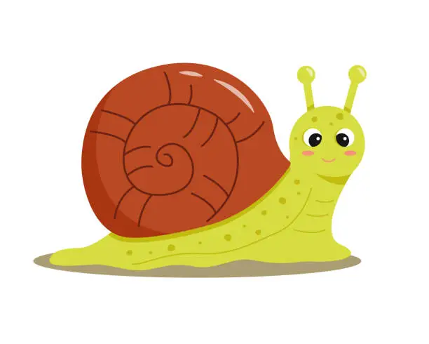 Vector illustration of Cute smiling snail on a white background. Suitable for stickers of cute and funny insects and garden animals for children. Vector illustration