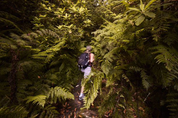istock Back view of a female hiker walking among greenery in nature. 1811162021