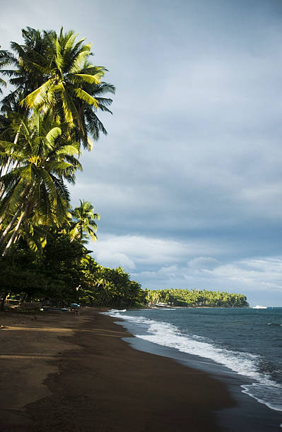 istock Negros Beautiful Black Sand Beach Philippines 181116800