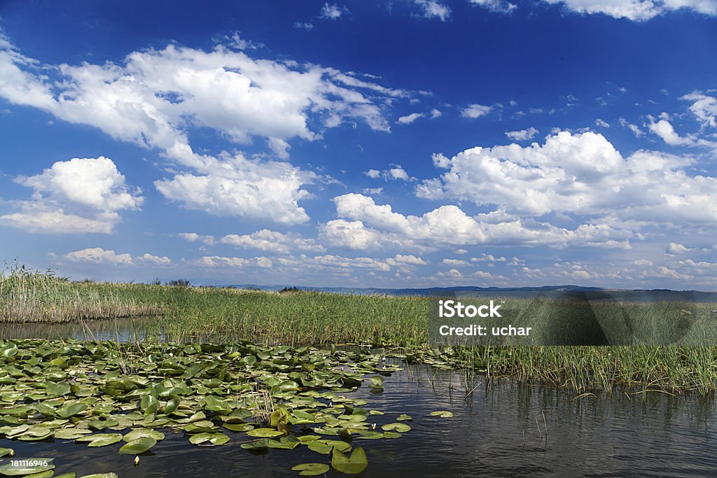 Nuvole sul lago - Foto stock royalty-free di Acqua