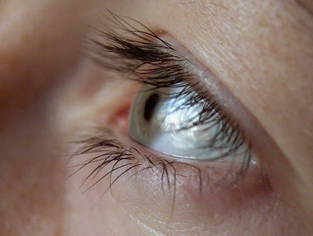 istock right woman eye 181117234