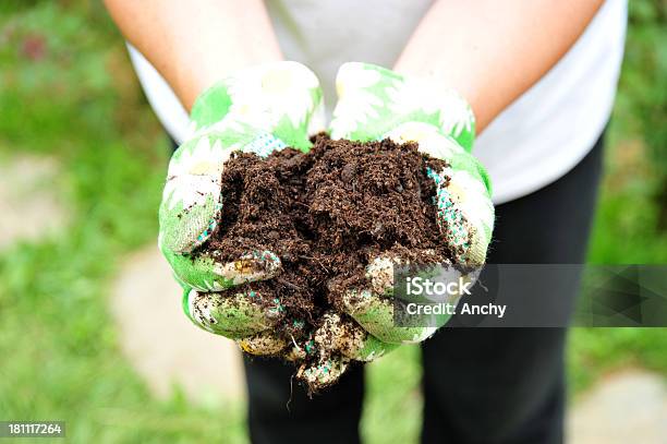 土壌を持つ手 - 保護用手袋のストックフォトや画像を多数ご用意 - 保護用手袋, 土, 1人