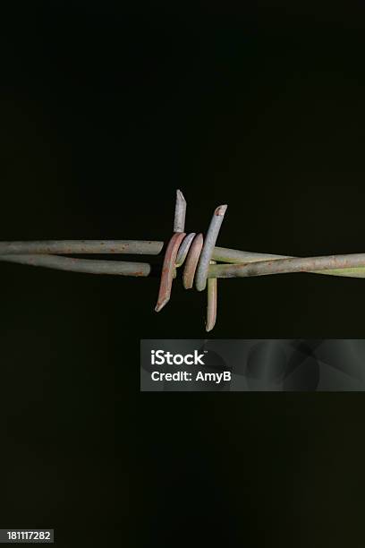 Espiga Simple Foto de stock y más banco de imágenes de Alambre - Alambre, Alambre de espino, Animal