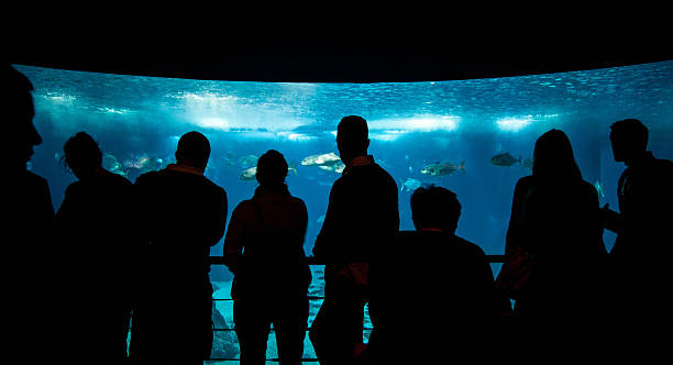 istock People admire fishes in aquarium 181117606