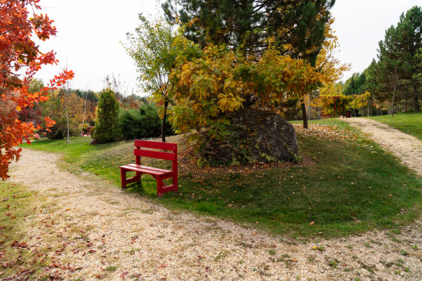 Bench in a Beautiful Public Park
