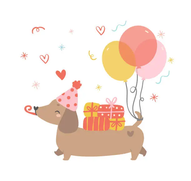 Vector illustration of Cute Birthday Dachshund Dog Wearing Party Hat and having gift boxes, celebrating party. Kawaii greeting card cartoon hand drawing flat design graphic illustration.