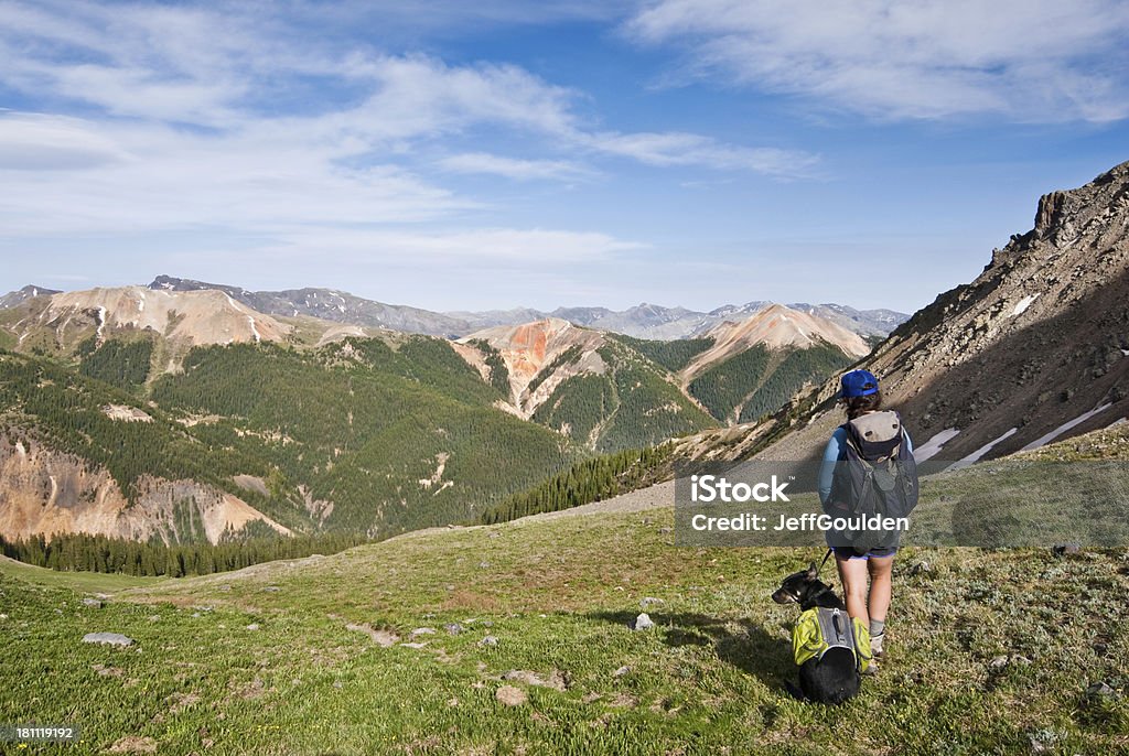 Botas y perro mirando a la vista - Foto de stock de Colorado libre de derechos