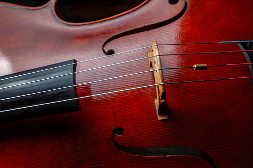 Close up view of violin bridge and strings
