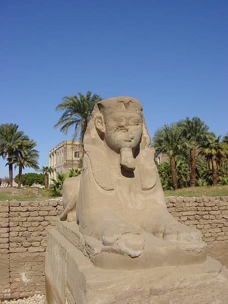 istock Spinx at Temple of Karnak 181119486