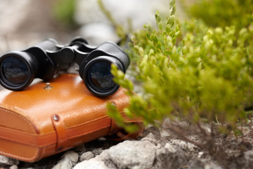 Still life of a pair of binoculars and their case