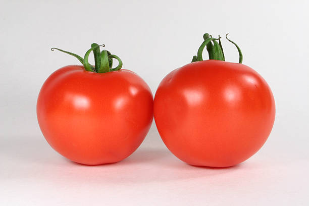Deux tomates - Photo