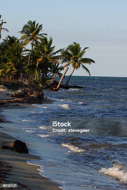 Palmy I Morze - zdjęcia stockowe i więcej obrazów Belize - Belize, Placencia, Ameryka