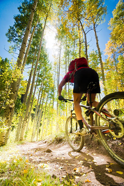 mountain biking woman stock photo