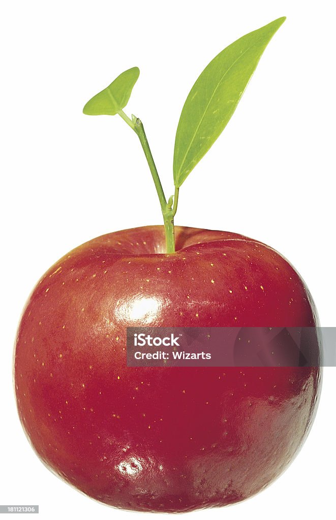 Manzana Red - Foto de stock de Fotografía - Imágenes libre de derechos