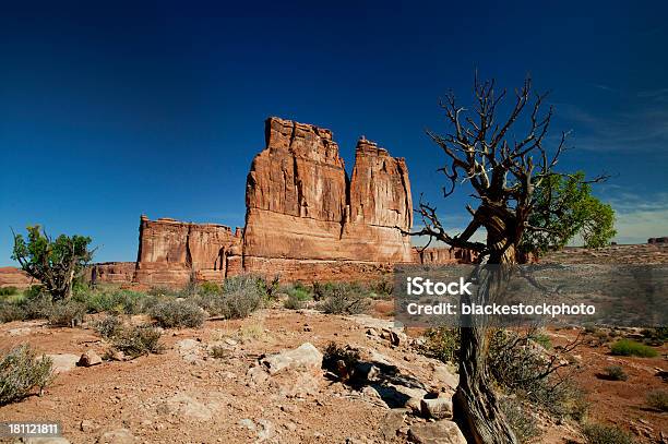 Pinheiro Bristlecone Árvores Em Shiprock Parque Nacional De Arches Utah - Fotografias de stock e mais imagens de Ao Ar Livre