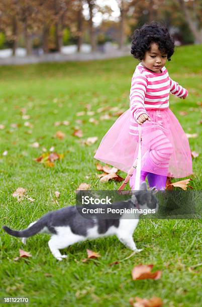 Foto de Vamos Walk This Way e mais fotos de stock de Coleira para animais de estimação - Coleira para animais de estimação, Gato doméstico, Andar