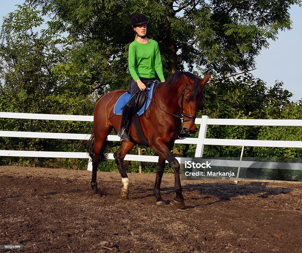 Jovem horsewoman cavalo - Foto de stock de Adestramento royalty-free