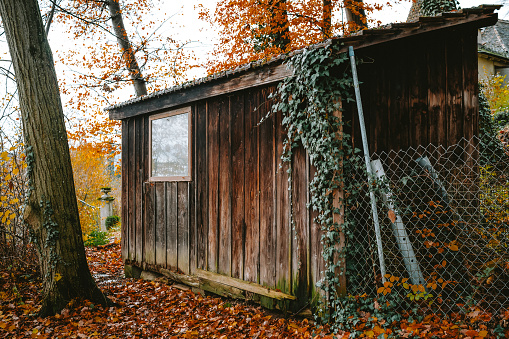 Old wooden shed with glass window in a forest. Autumn scene, wire fence, fall colors, no people.