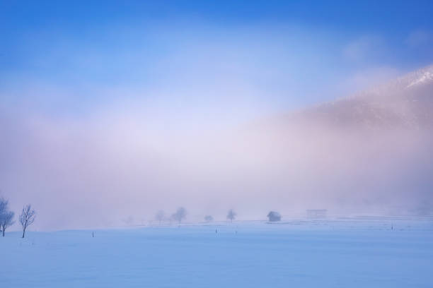 journée brumeuse d’hiver sur un champ enneigé dans les contreforts des alpes - apres ski snow mountain loneliness photos et images de collection