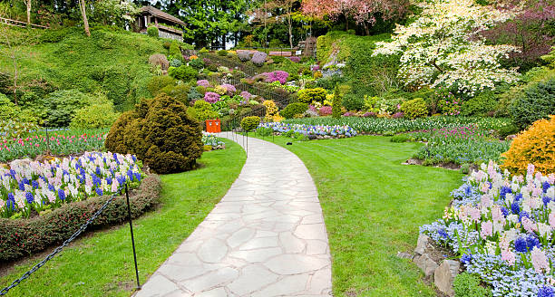 istock Garden Path with Lush Green Lawn - Victoria 181124603