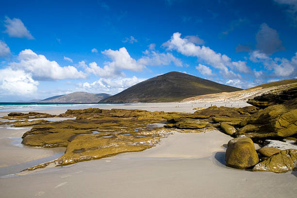 malvinas escena de la playa - islas malvinas fotografías e imágenes de stock