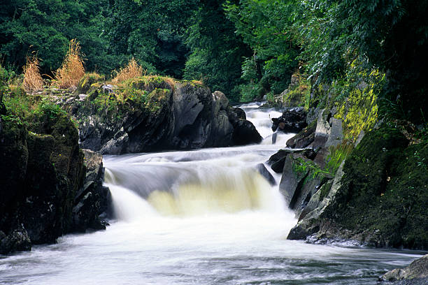 River Teifi, Llandysul Wales, Ceredigion, Llandysul, River Teifi teifi river stock pictures, royalty-free photos & images