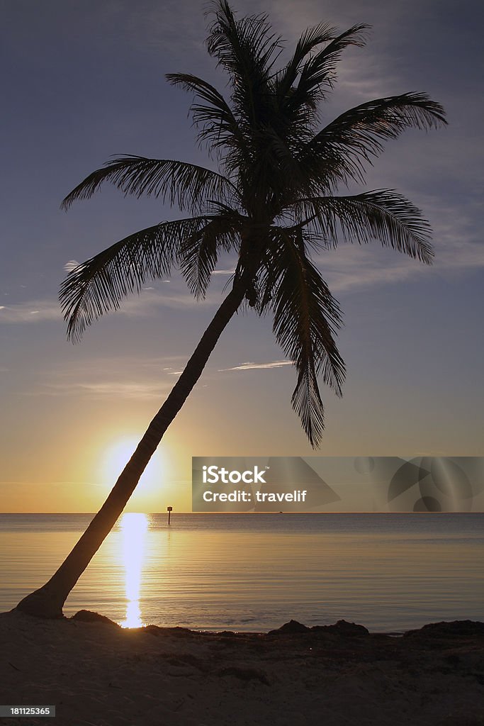 Praia Tropical com Palmeira em sunrise - Royalty-free Amanhecer Foto de stock