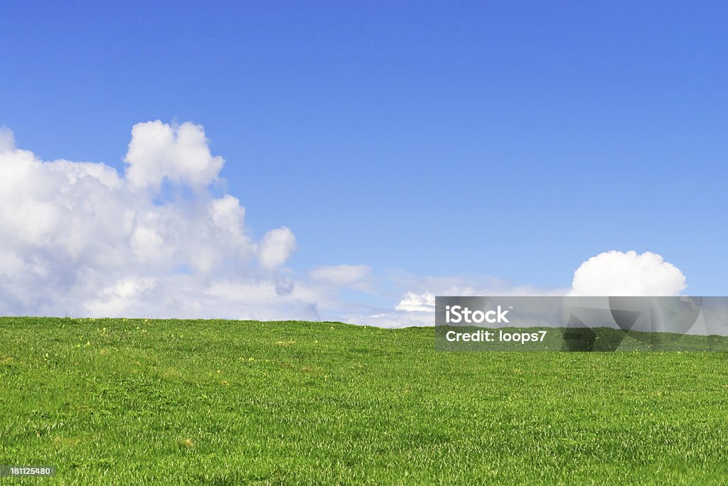 Gras und Himmel - Lizenzfrei Blau Stock-Foto