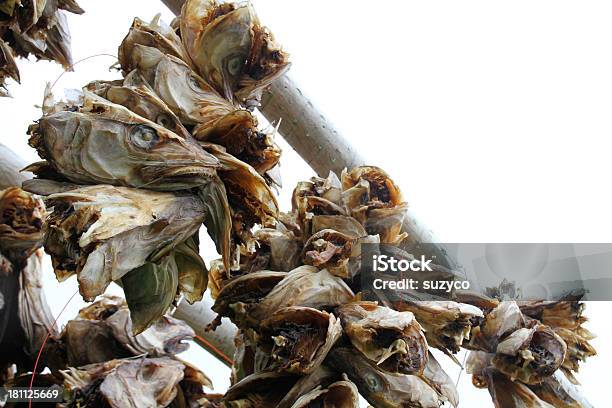 Pescado Cabezales De Secado Foto de stock y más banco de imágenes de Agricultura - Agricultura, Aire libre, Alimento